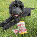 Deer Antler Dog Chew product image 12
