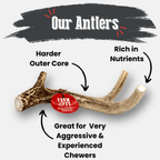 Deer Antler Dog Chew product image 17