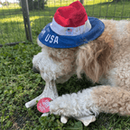Deer Antler Dog Chew product image 18