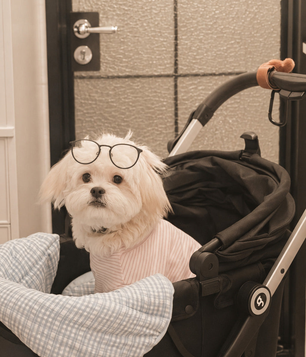 Pet Stroller product image 14