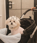 Pet Stroller product image 14