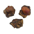 Dog Knee Cap Chew product image 1