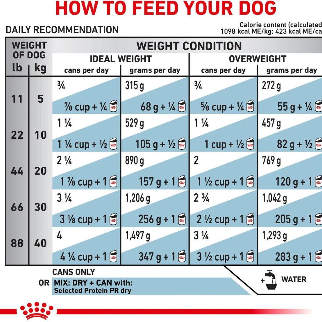 Veterinary Wet Dog Food product image 3