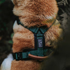 Pet Harness product image 2
