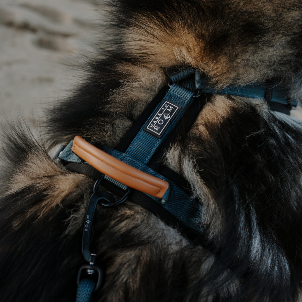 Pet Harness product image 16