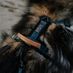 Pet Harness product image 16