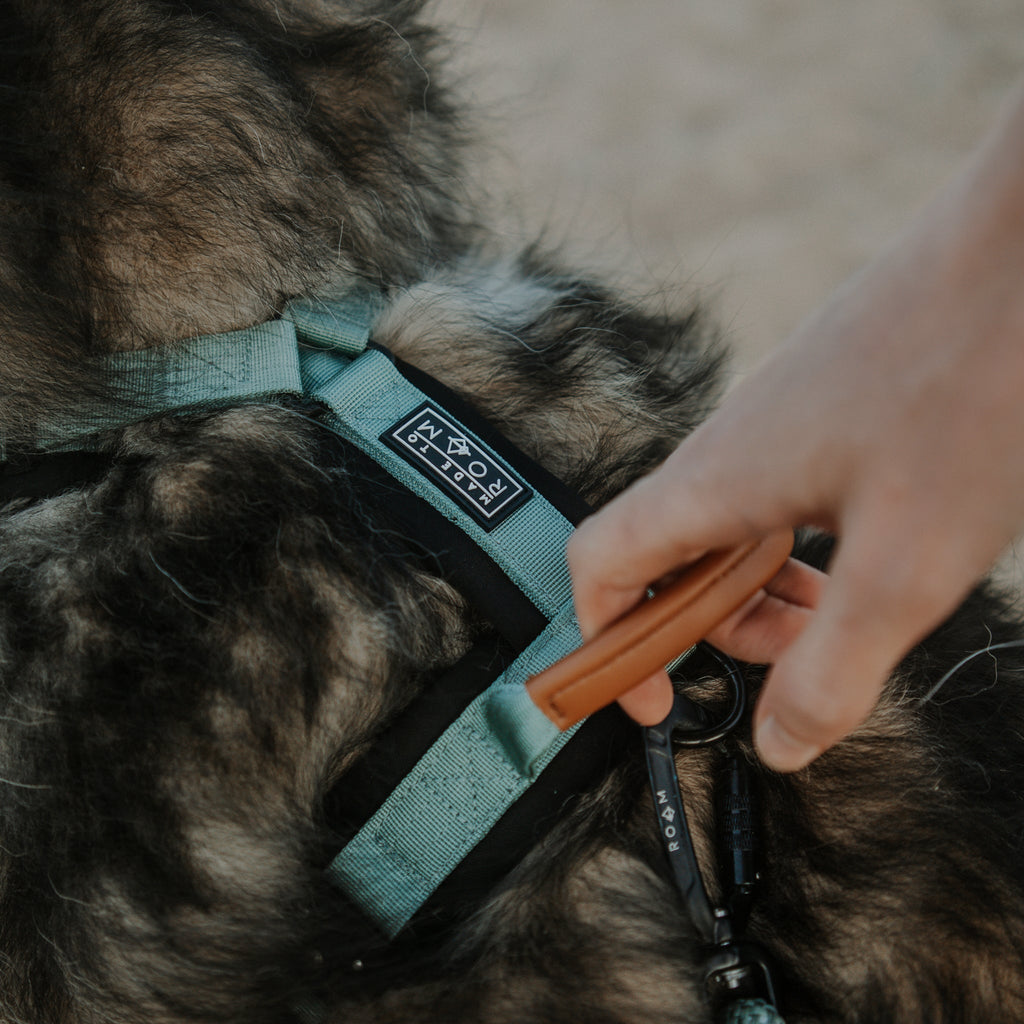 Pet Harness product image 25