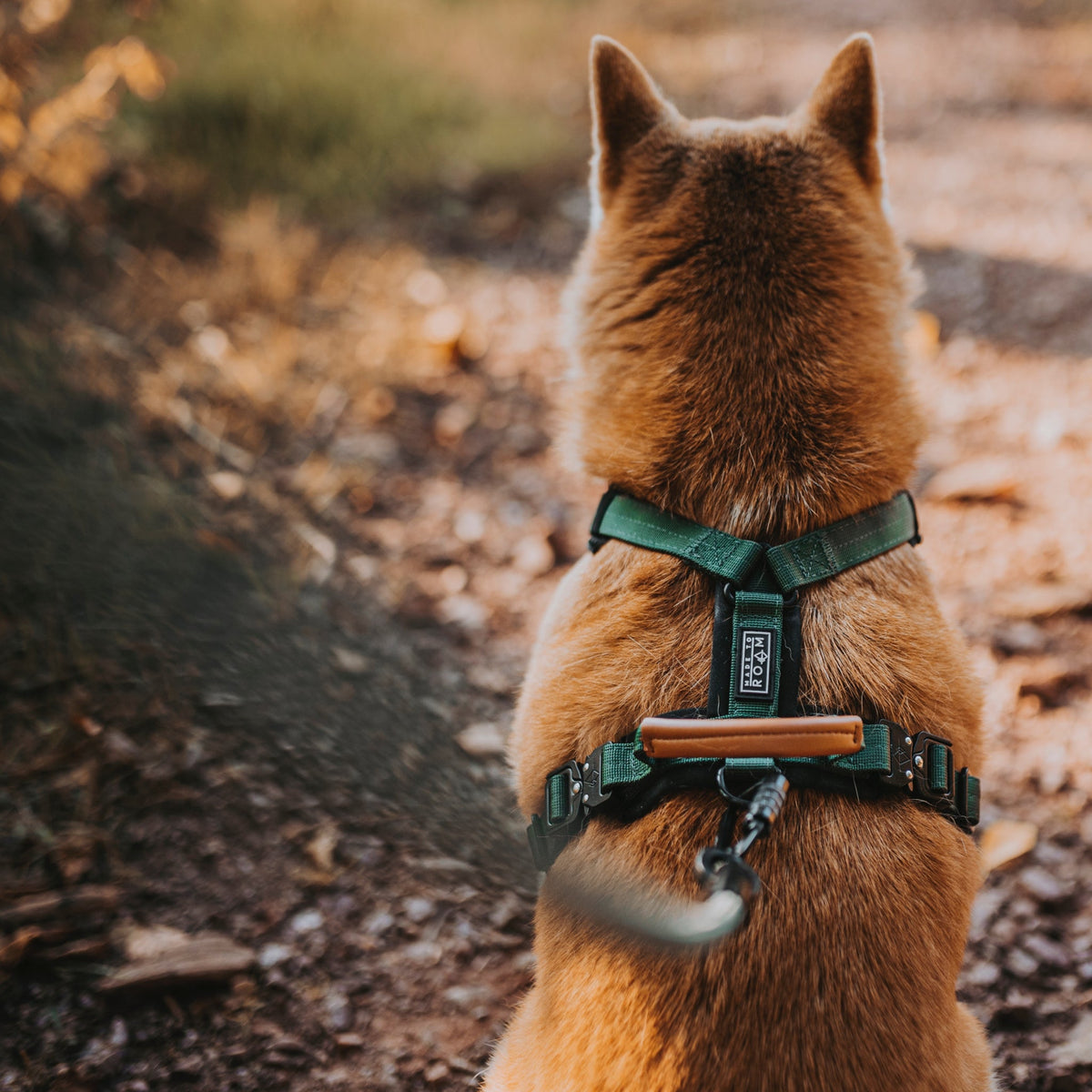 Pet Harness product image 32