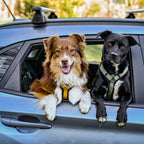 Pet Harness product image 38