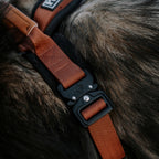 Pet Harness product image 48