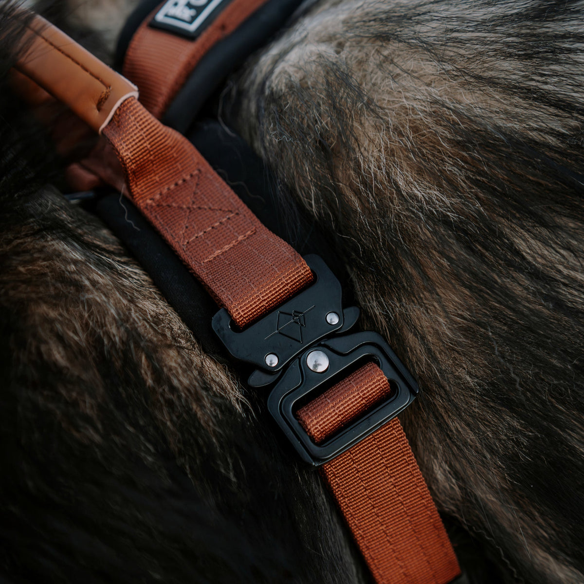 Pet Harness product image 48