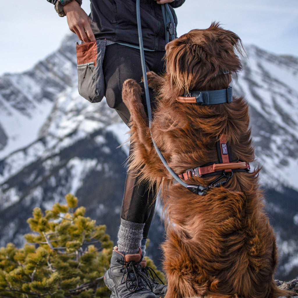 Pet Harness product image 49