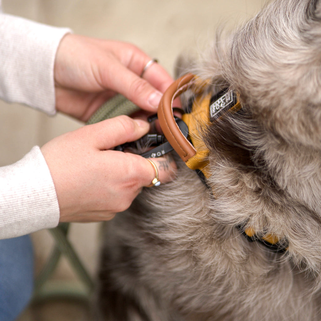 Pet Harness product image 61