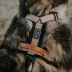 Pet Harness product image 62