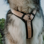 Pet Harness product image 63