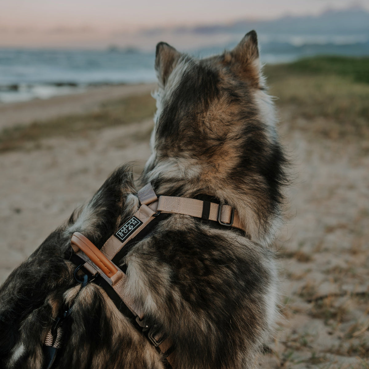 Pet Harness product image 65