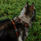 Pet Harness product image 69