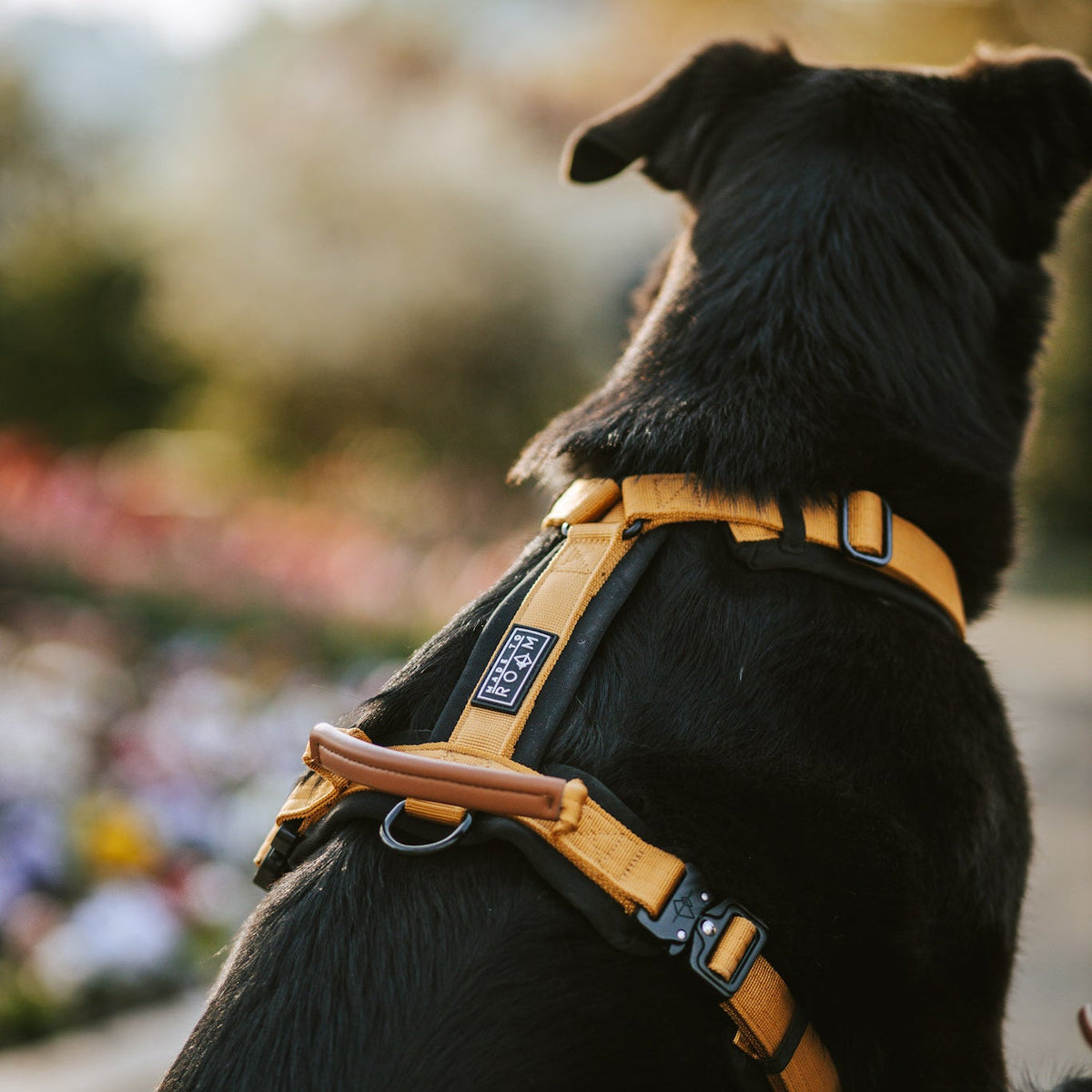 Pet Harness product image 87