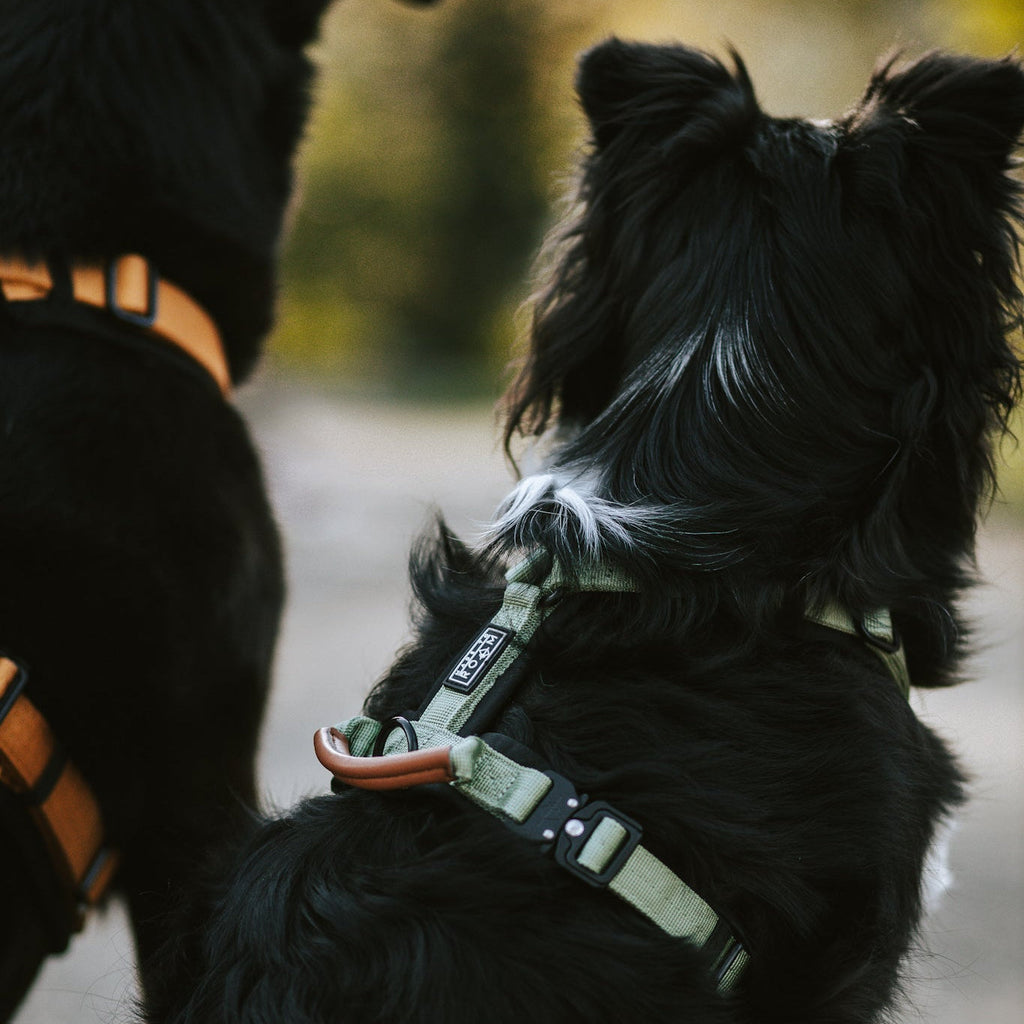 Pet Harness product image 88