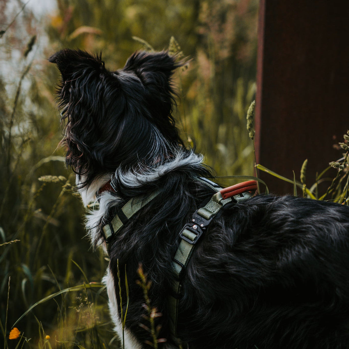Pet Harness product image 105