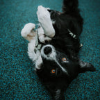 Pet Harness product image 108