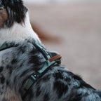 Pet Harness product image 120