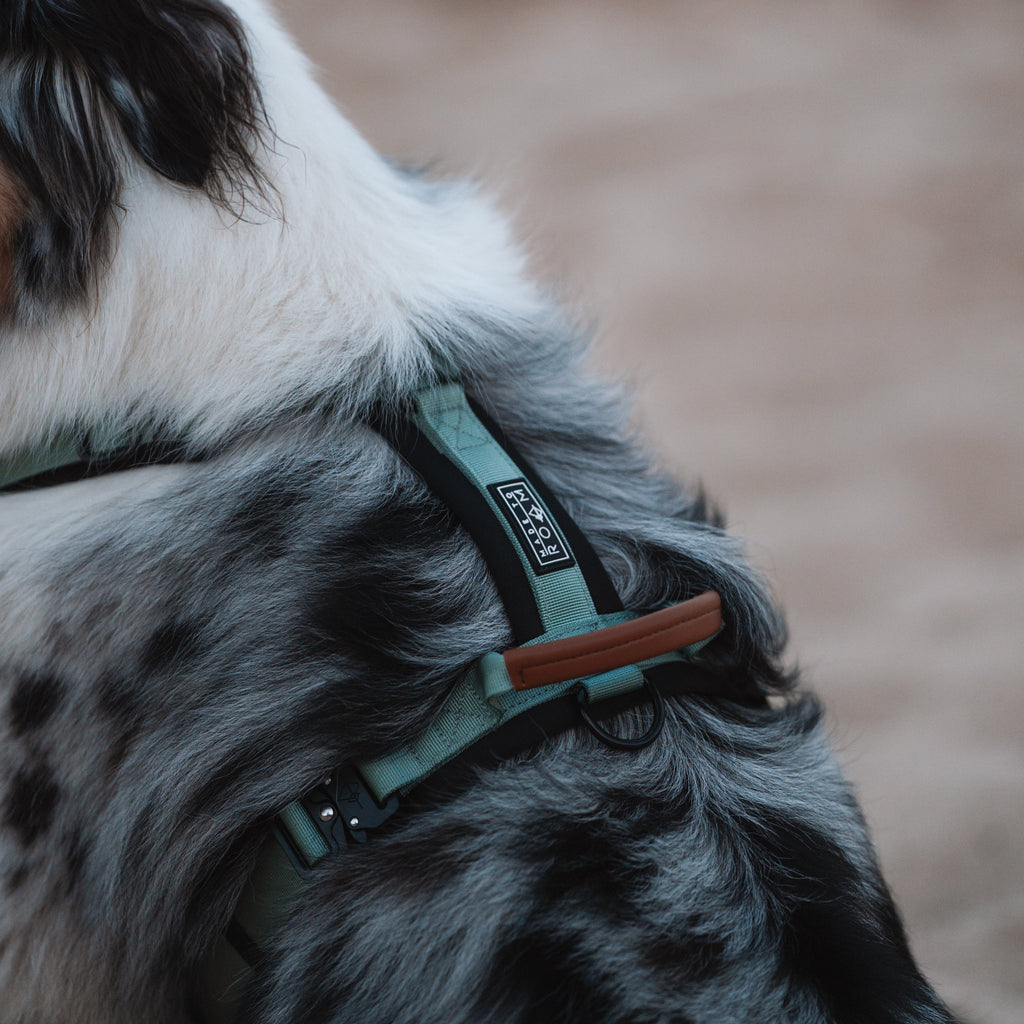 Pet Harness product image 121