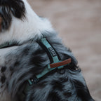 Pet Harness product image 121