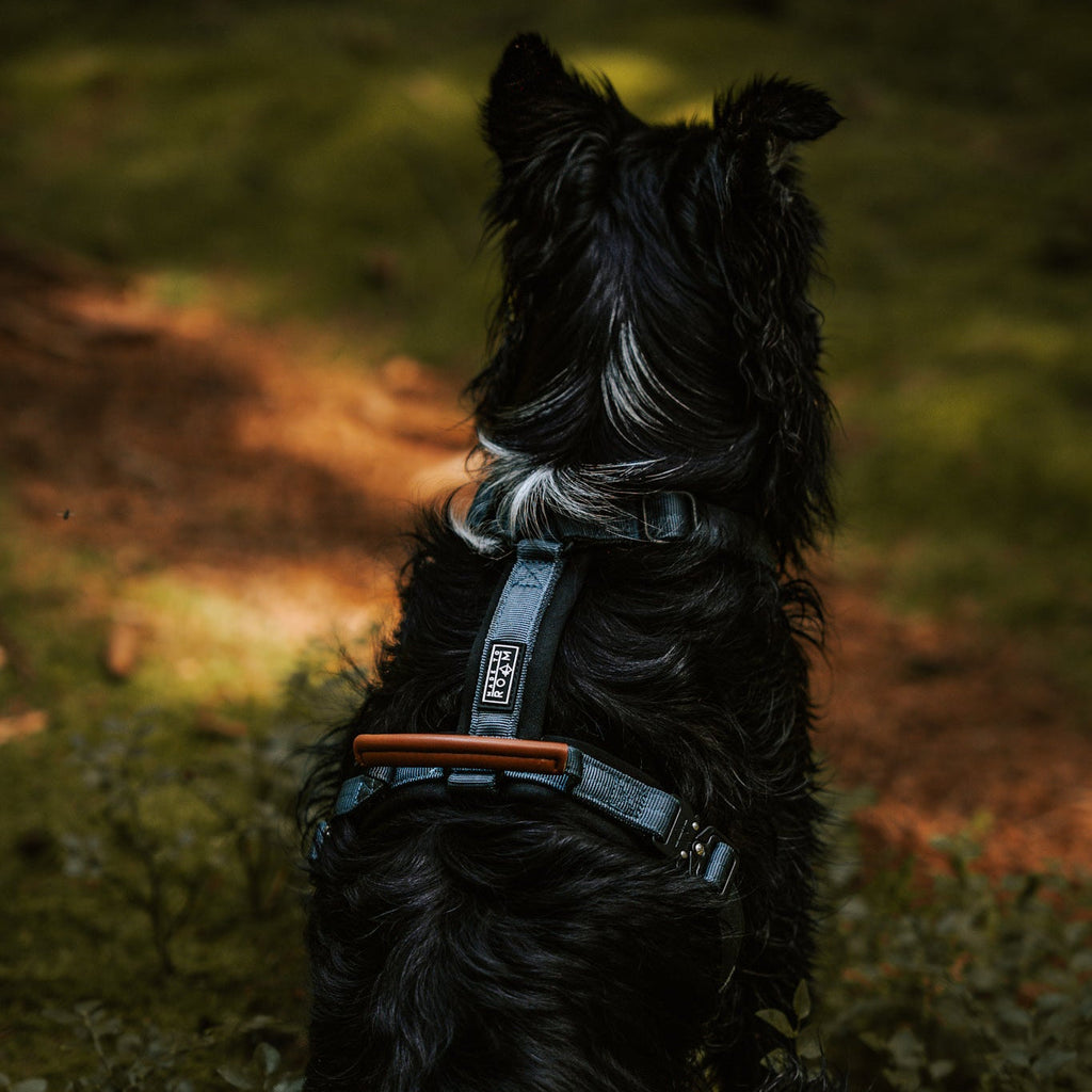Pet Harness product image 122