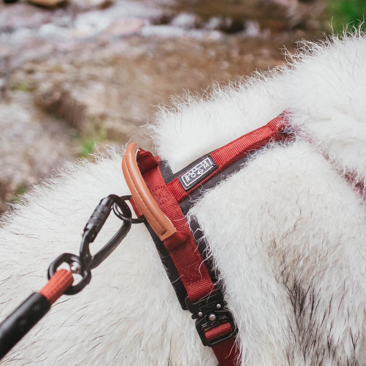 Pet Harness product image 130