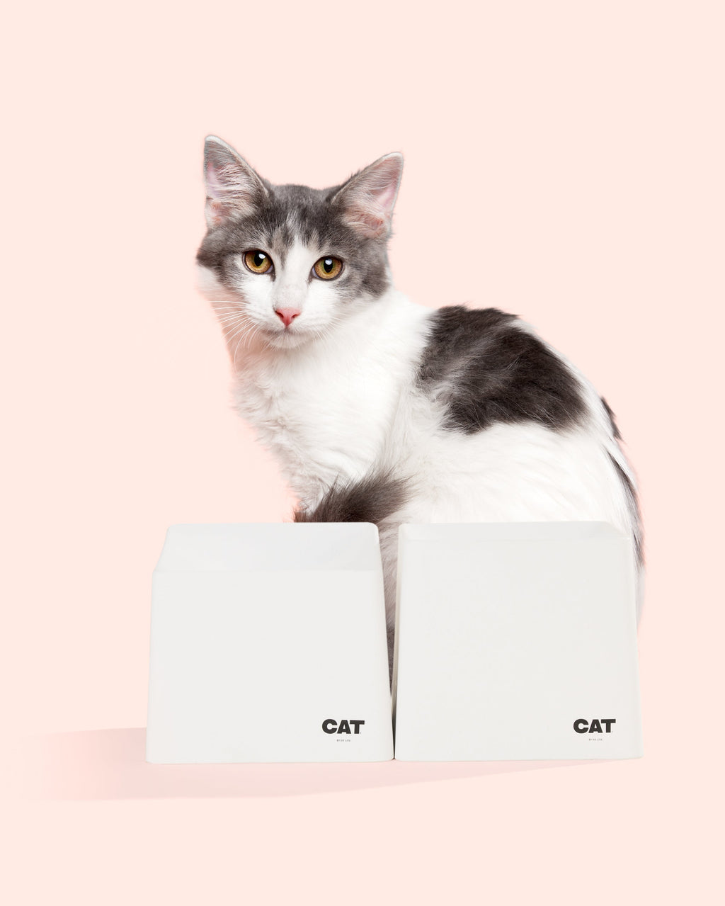 Cat Bowl Set product image 1