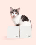 Cat Bowl Set product image 1