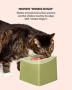 Cat Bowl Set product image 2
