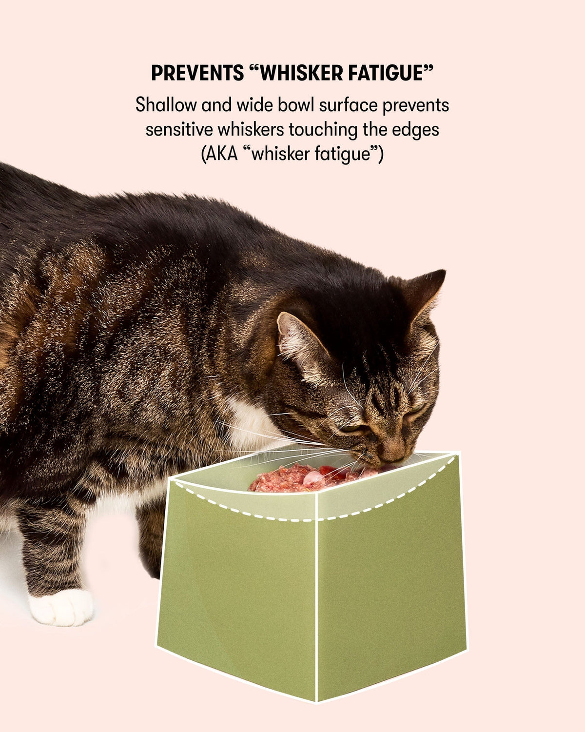 Cat Bowl Set product image 2