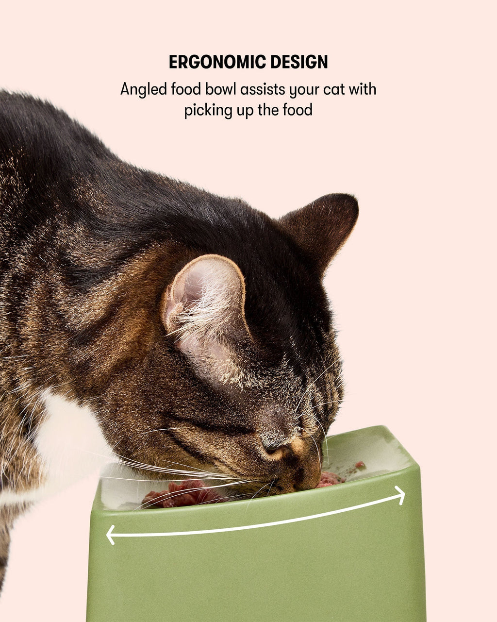 Cat Bowl Set product image 3