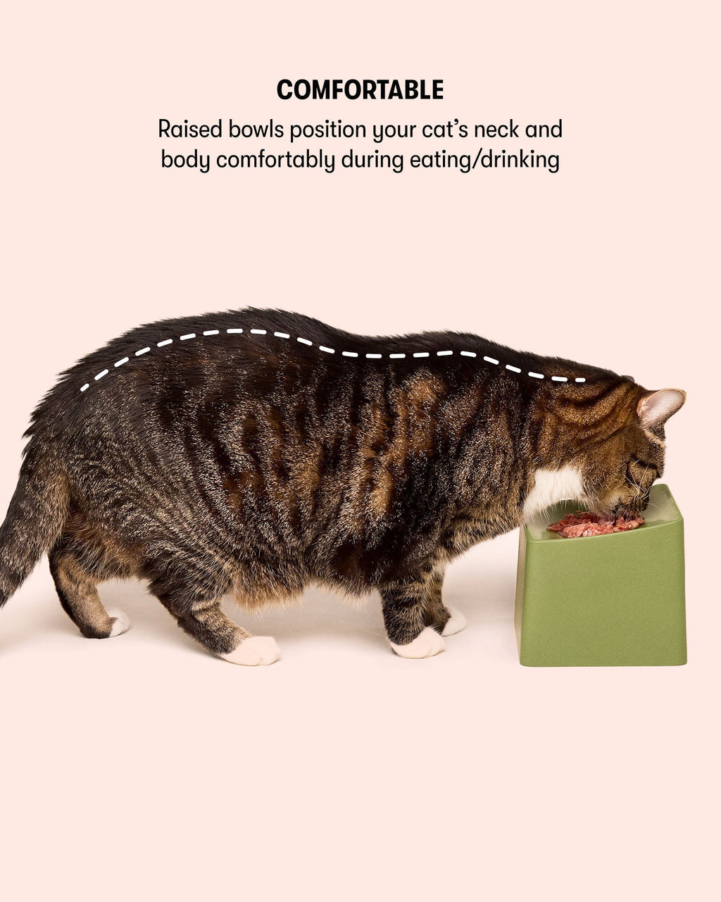 Cat Bowl Set product image 4