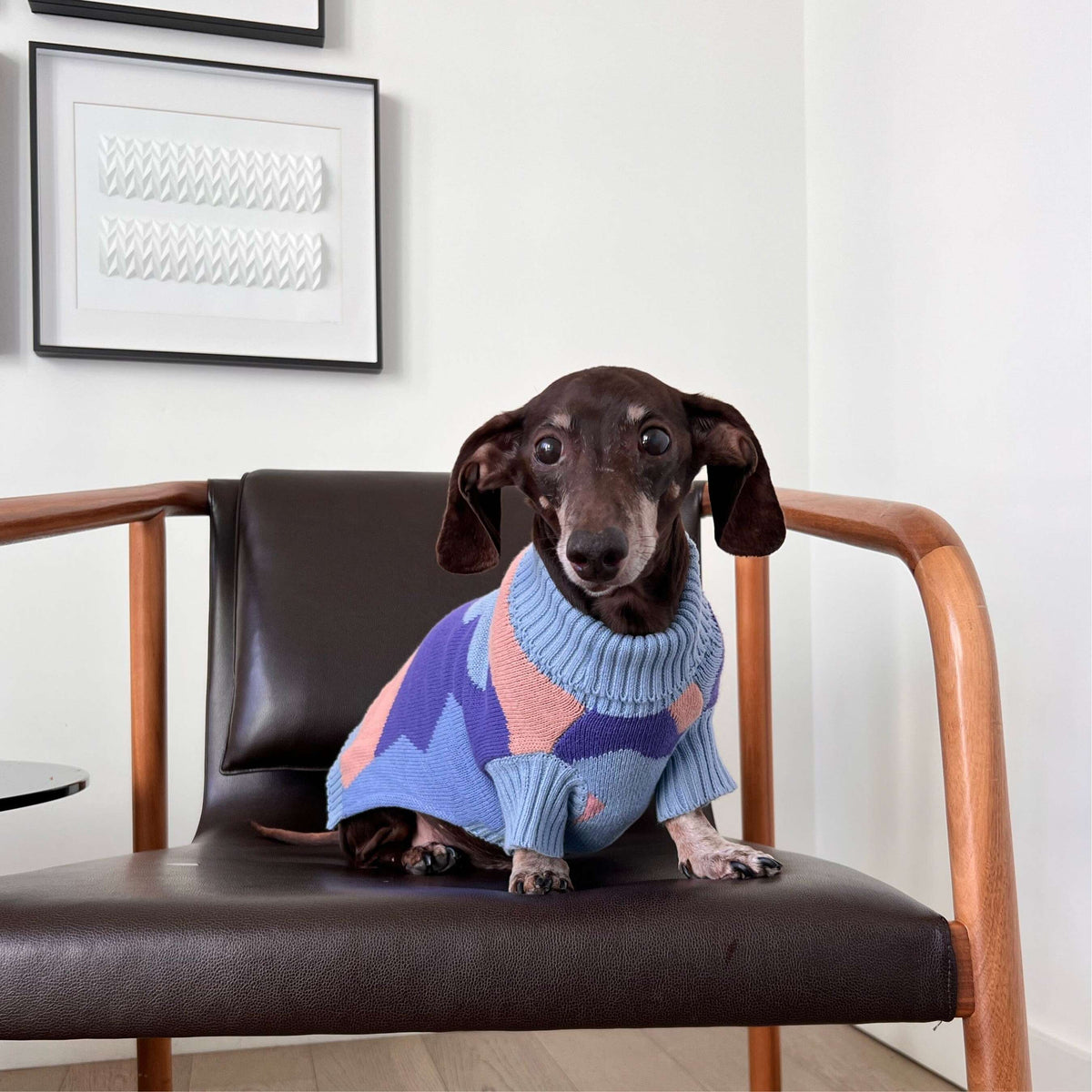 Dachshund Sweater product image 1