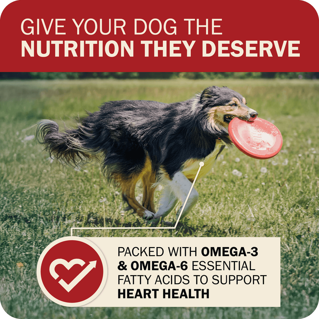 Dog Food product image 5
