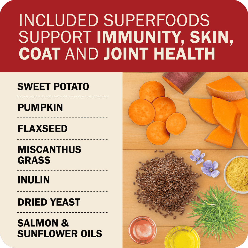 Dog Food product image 6