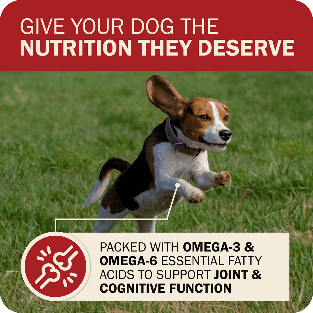Dog Food product image 7