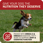 Dog Food product image 7