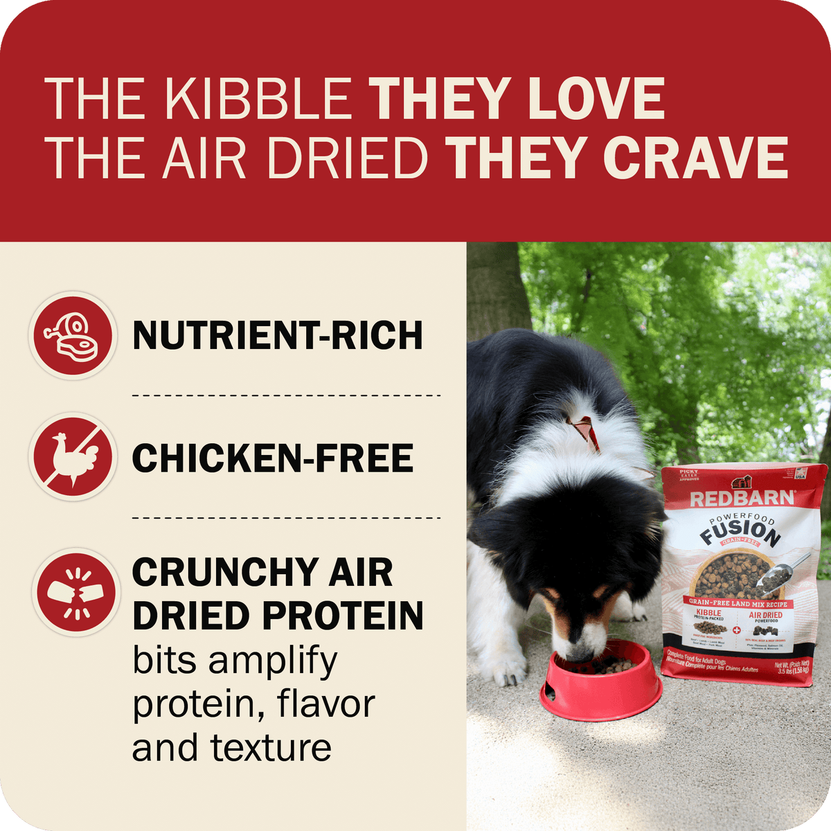 Dog Food product image 9