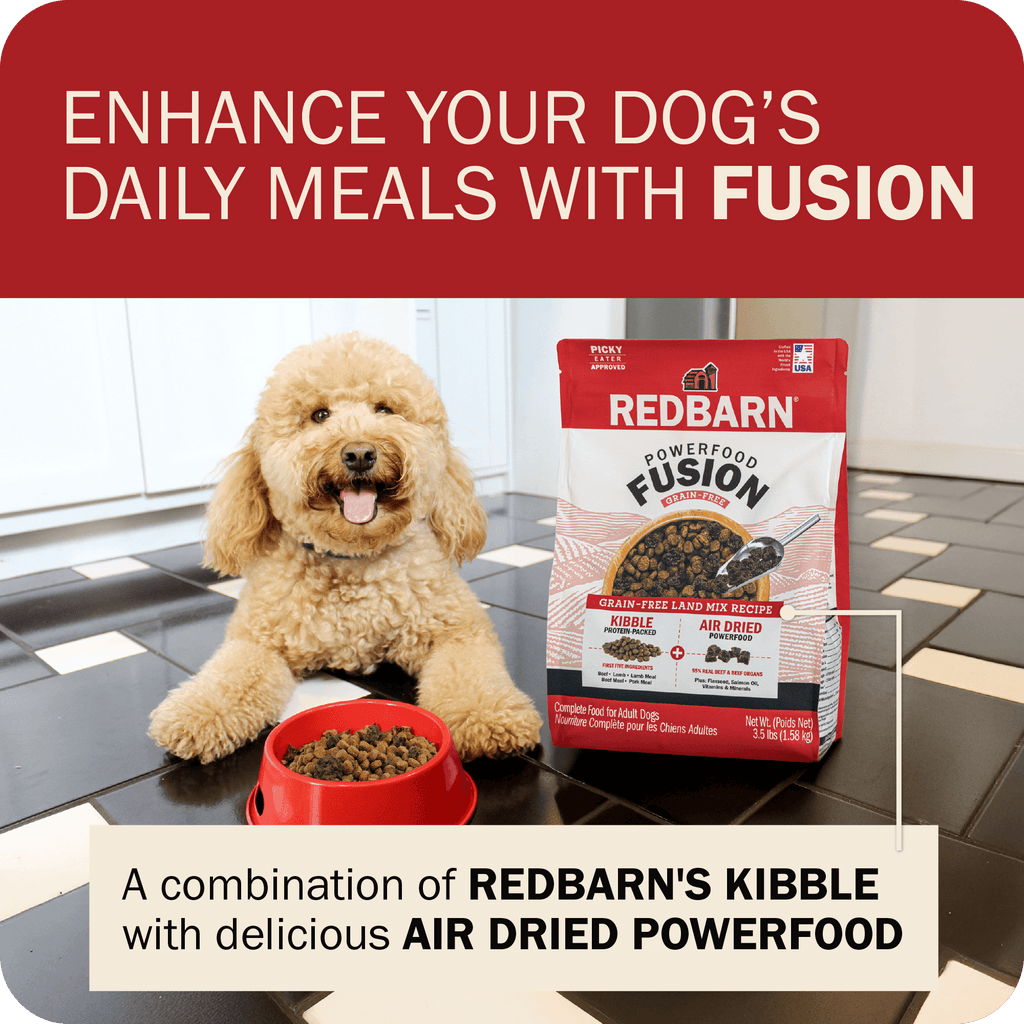 Dog Food product image 10