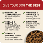 Dog Food product image 11