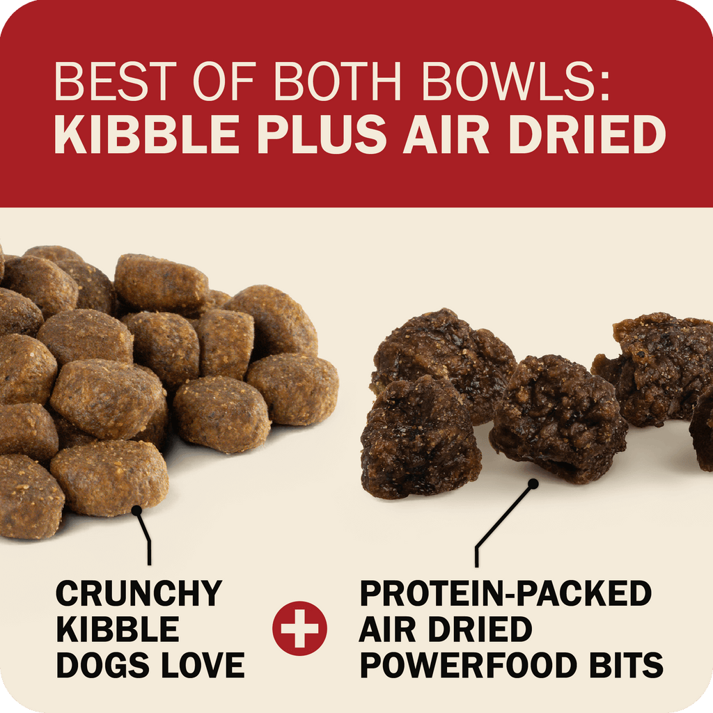 Dog Food product image 12