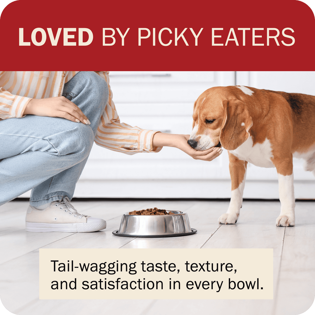 Dog Food product image 13