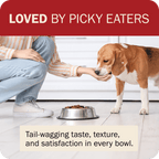 Dog Food product image 13