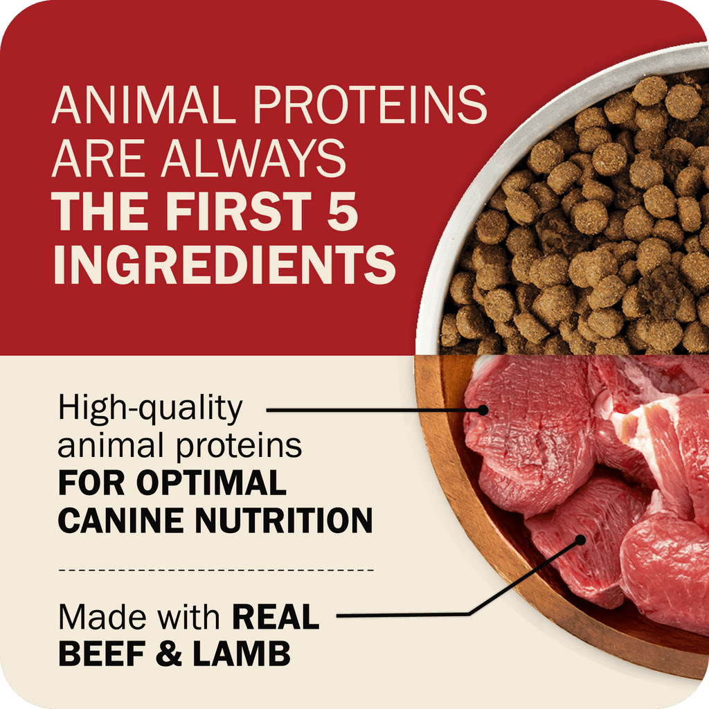 Dog Food product image 14