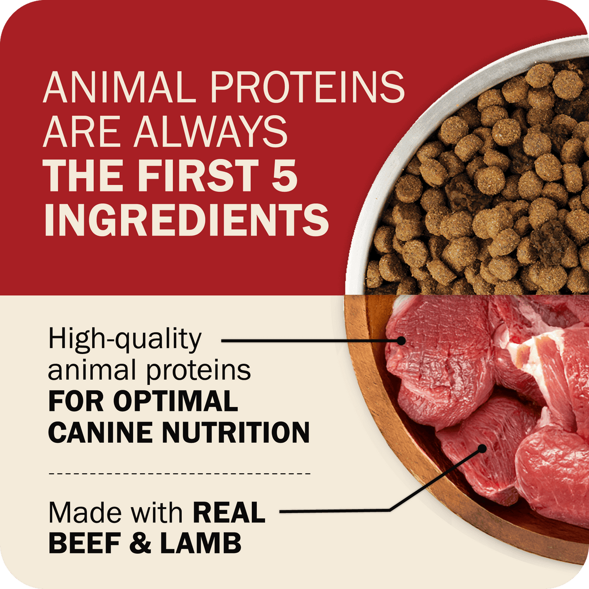 Dog Food product image 14