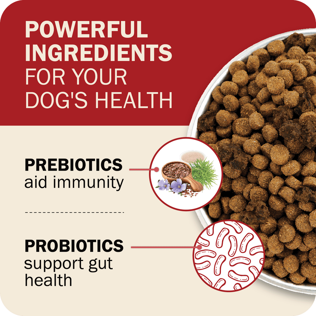 Dog Food product image 15